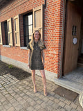 Leopard dress